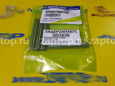 7008106 Шток направляющей цепи ГРМ SsangYong Kyron | SsangYong Rexton