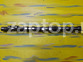 24100-38102 Распредвал Hyundai Sonata